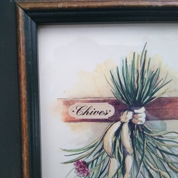 Peggy Abrams Wall Decor Peggy Abrams Illustrated Chives Print In